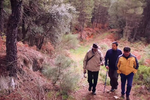 Montes Protectores de Descargamaria