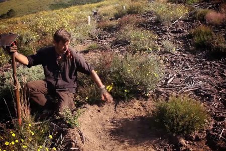 Voluntarios internacionales para construir paisajes
